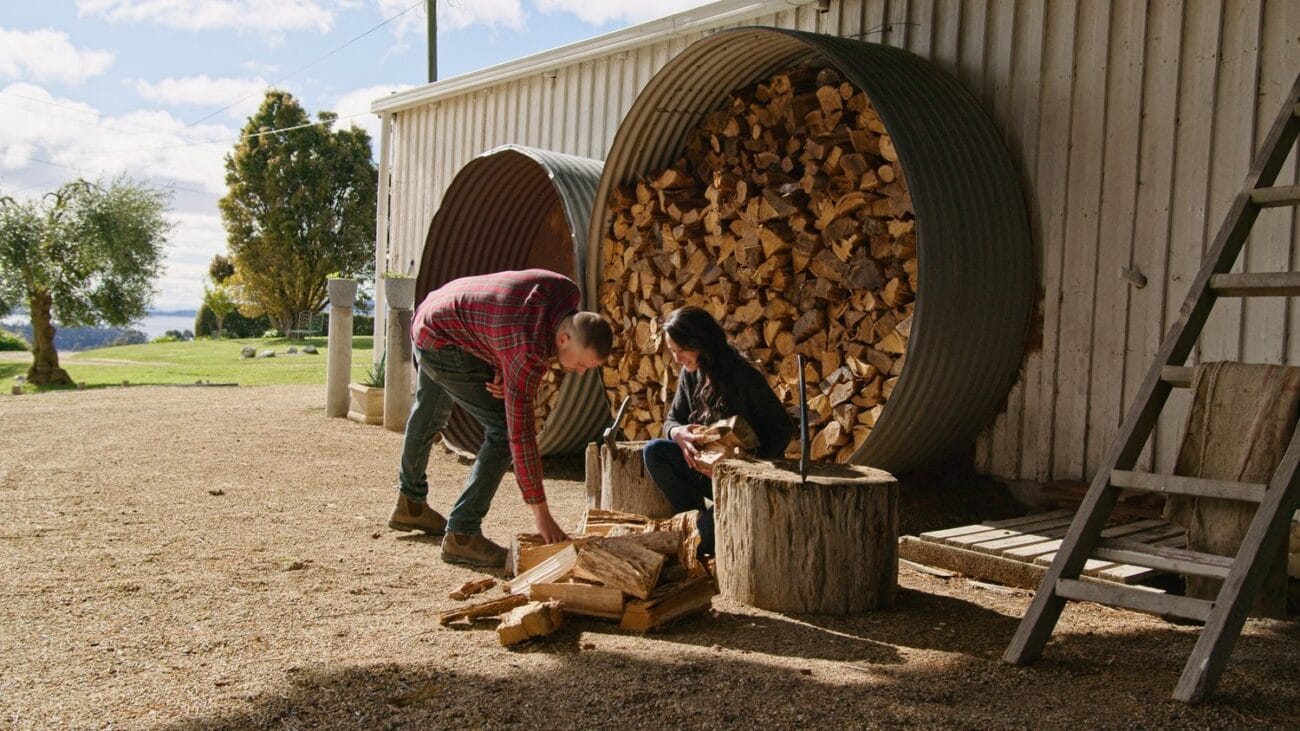 P6K2ALEXA POWERGRADE AND LUTS (10)