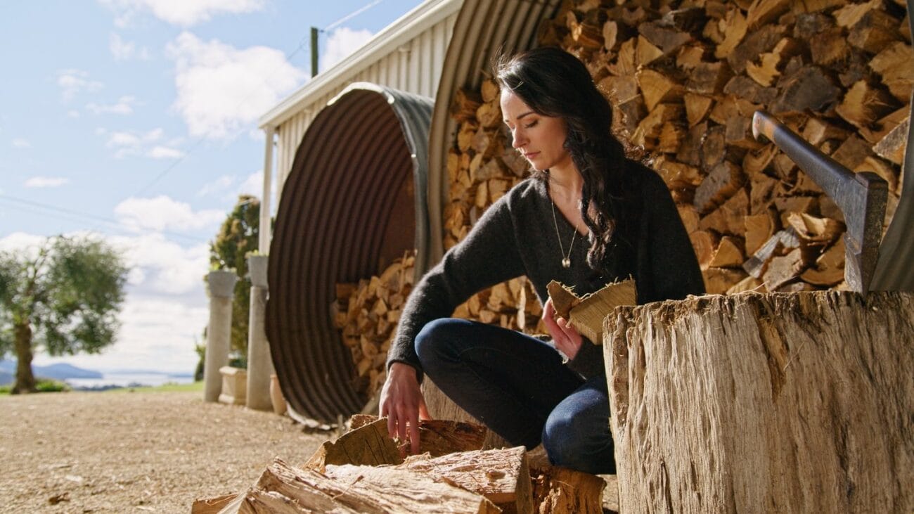 P6K2ALEXA POWERGRADE AND LUTS (11)