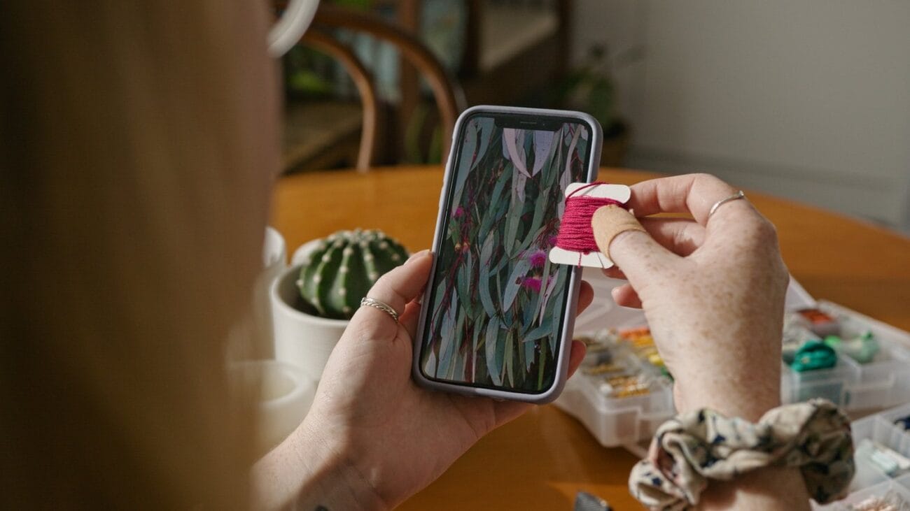 P6K2ALEXA POWERGRADE AND LUTS (5)