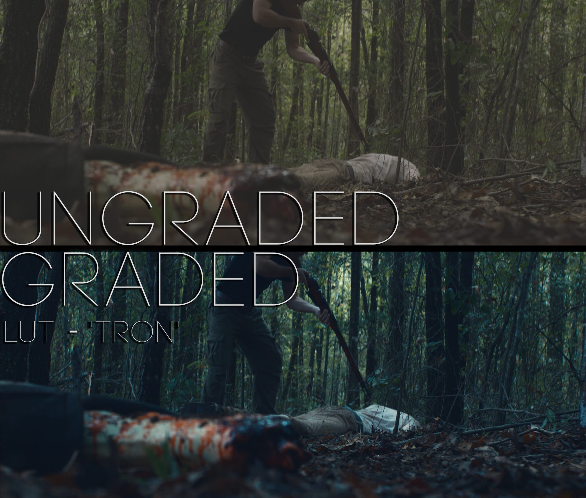 Cinematic LUTs V1