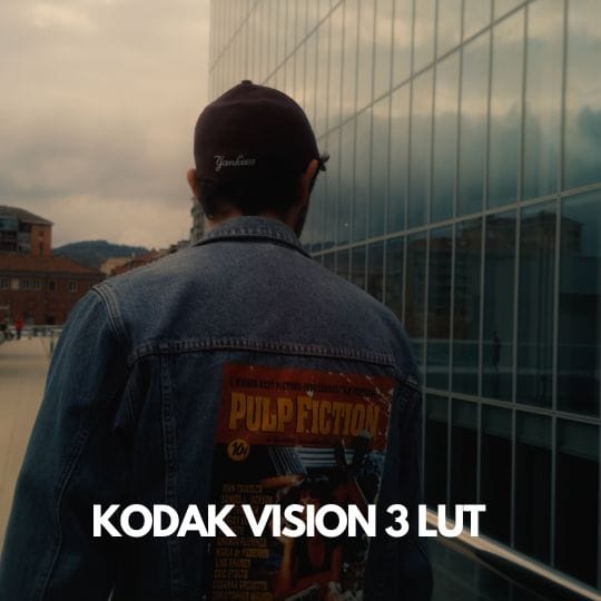 Kodak Vision 3 Lut for iPhone