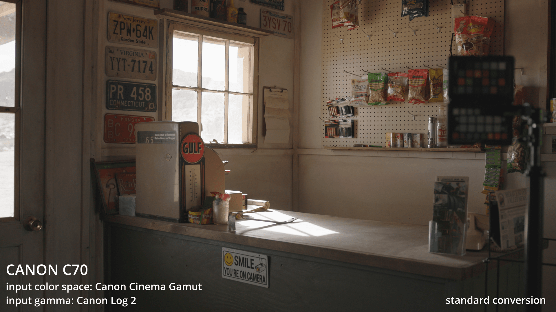 CANON CONVERSION LUTS (C70/C200/300/500) // (R/R5/R5C) // (C-LOG2)