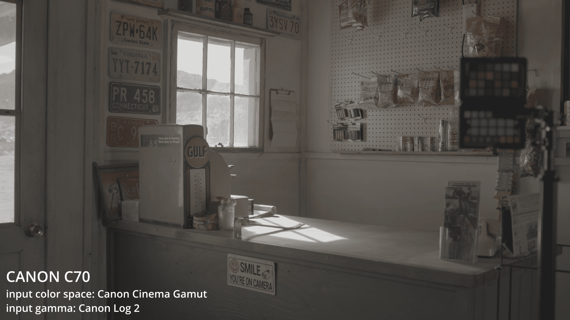 CANON CONVERSION LUTS (C70/C200/300/500) // (R/R5/R5C) // (C-LOG2)
