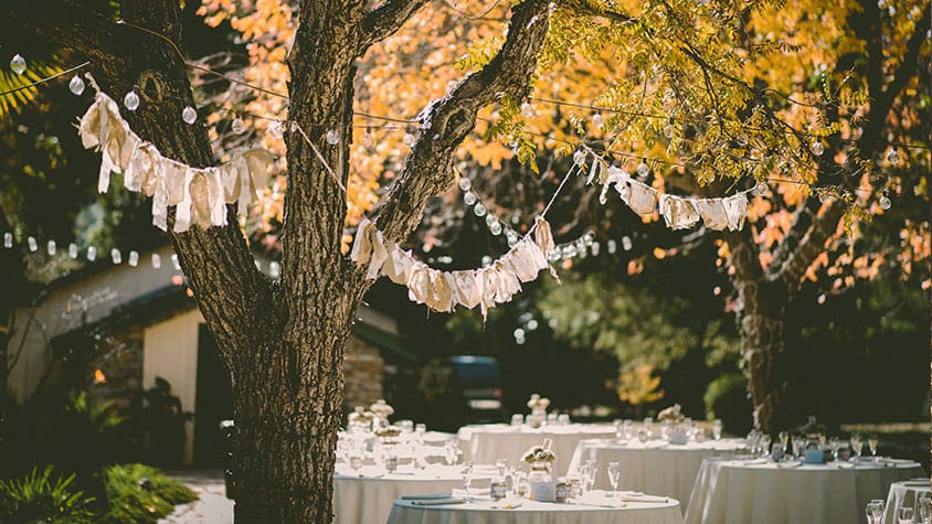 25 Professional LUTs for Wedding Videos MLUT Film