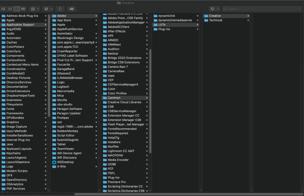How to Install LUTs in Adobe Premiere Pro 2025