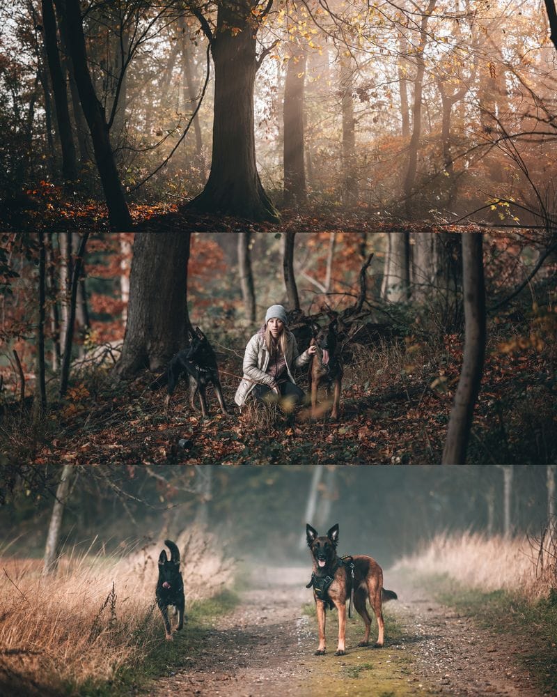 MOOD 10 Lightroom Presets